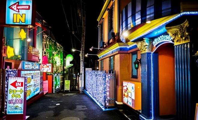 歌舞伎町醉生梦死宁可下海拍片也不回家瓦力游戏app日本堕落的东横小孩：在(图3)